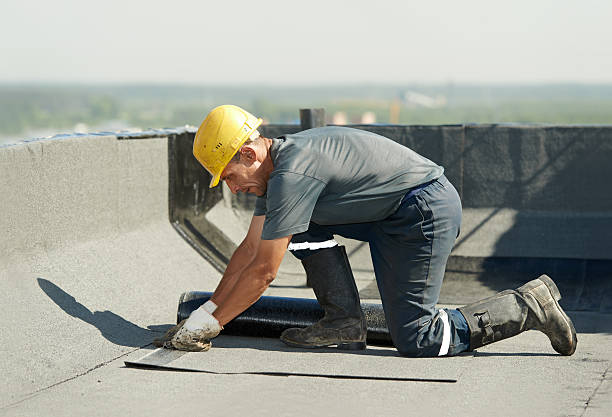 Best Eco-Friendly Insulation in Mcallen, TX