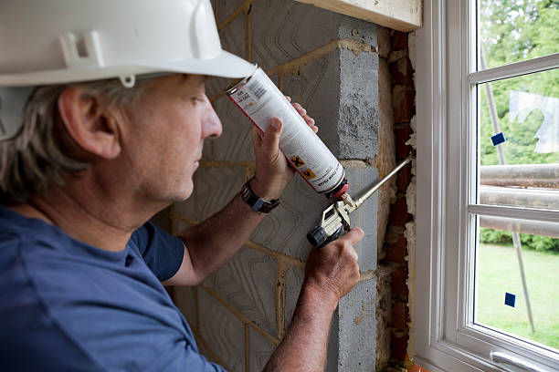 Best Geographic-Specific Insulation Services in Mcallen, TX