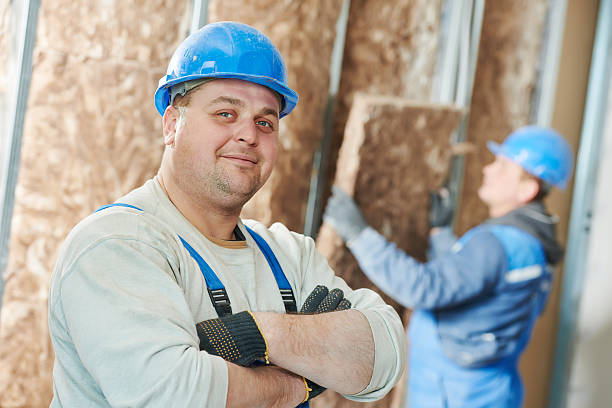 Best Specialized Insulation Services in Mcallen, TX